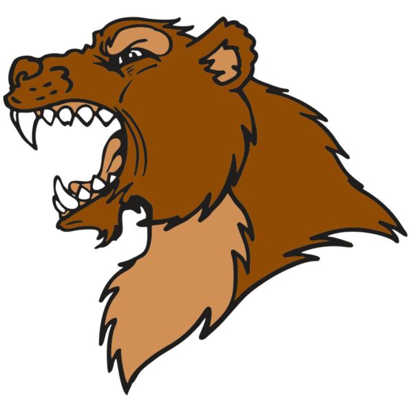 AR BEAR 22 RC Thumbnail