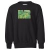Youth EcoSmart® Crewneck Sweatshirt Thumbnail