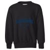 Youth EcoSmart® Crewneck Sweatshirt Thumbnail
